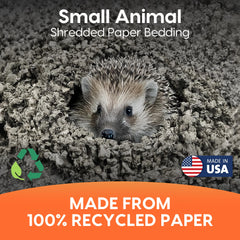 Fresh News 100% papier recyclé, matériau durable.