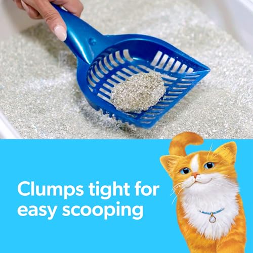Fresh Step adapté pour un chat, simplifiant la routine domestique.