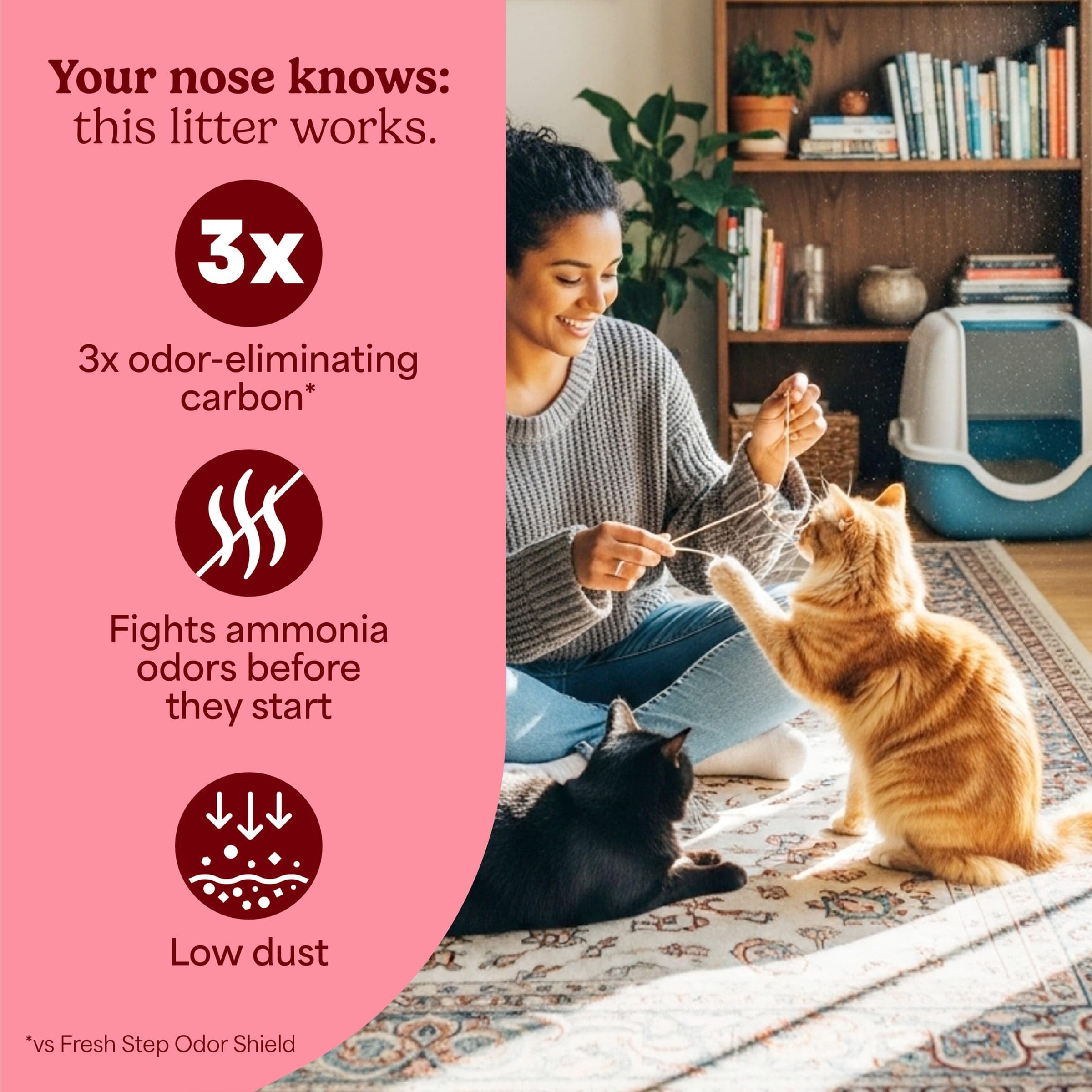 Idéale pour plusieurs chats, réduction des odeurs partagées.