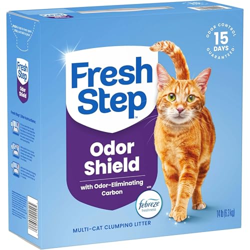 Convient pour plusieurs chats et foyers actifs