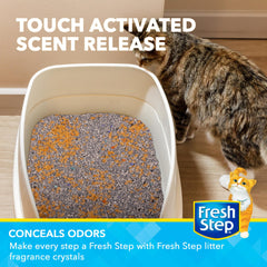Fresh Step parfum Brise d Été, cristal déodorant dégage une senteur légère.