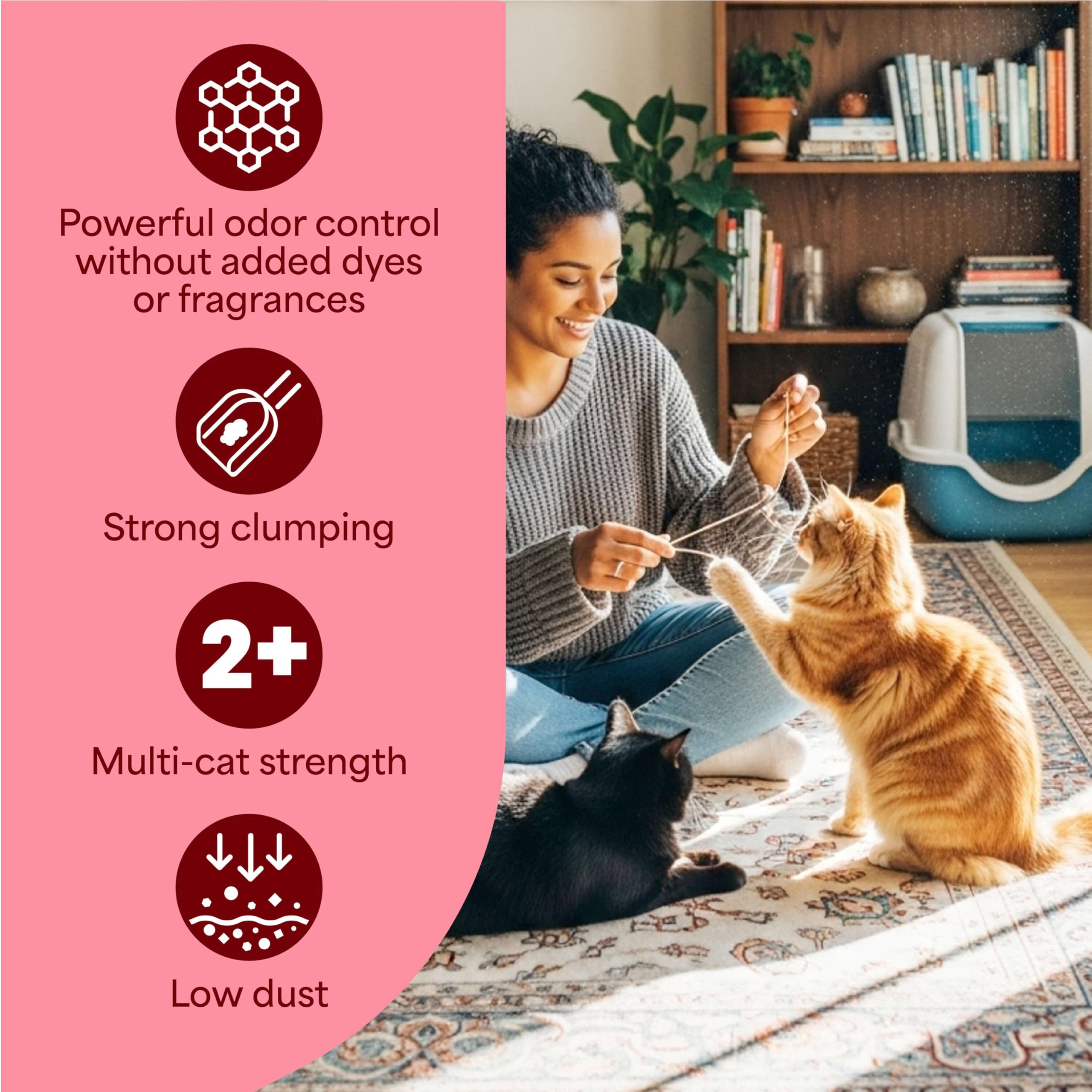 Fresh Step recommandée par les vétérinaires pour le bien-être des chats.