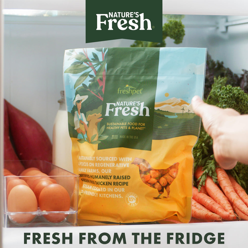 Épinards, bleuets et cranberries apportant nutriments et saveurs naturels.