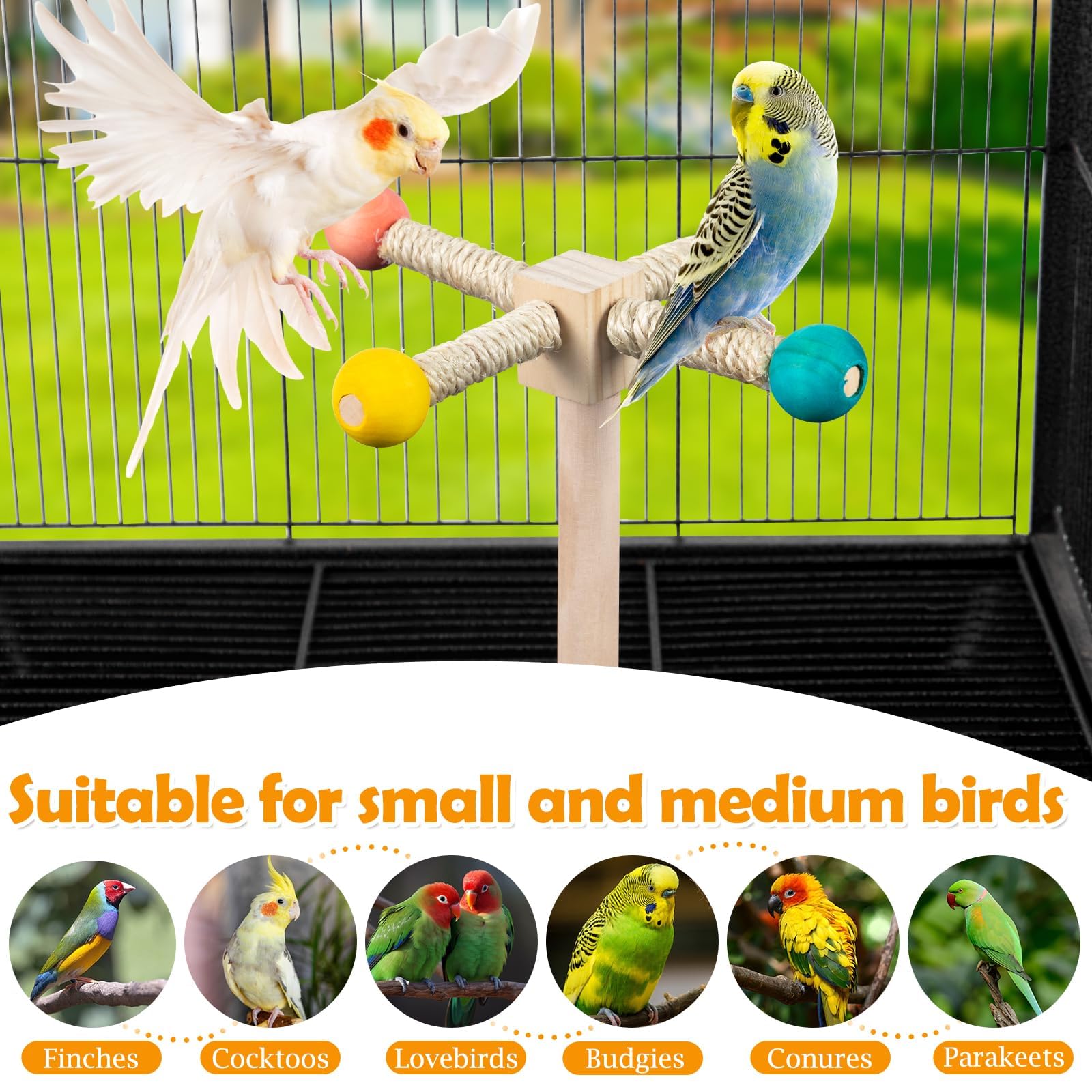 FrgKbTm: support d'exercice en bois, accessoire sûr pour cage.