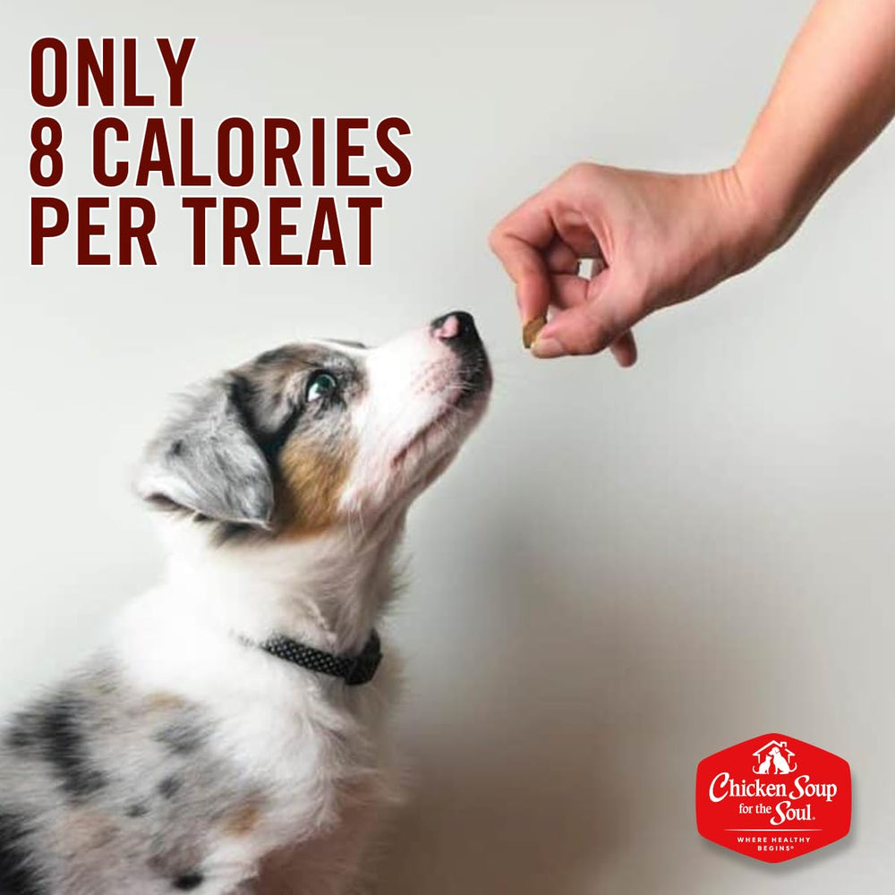 Friandises pour chien au boeuf Chicken Soup for the Soul, texture croustillante et naturelle.