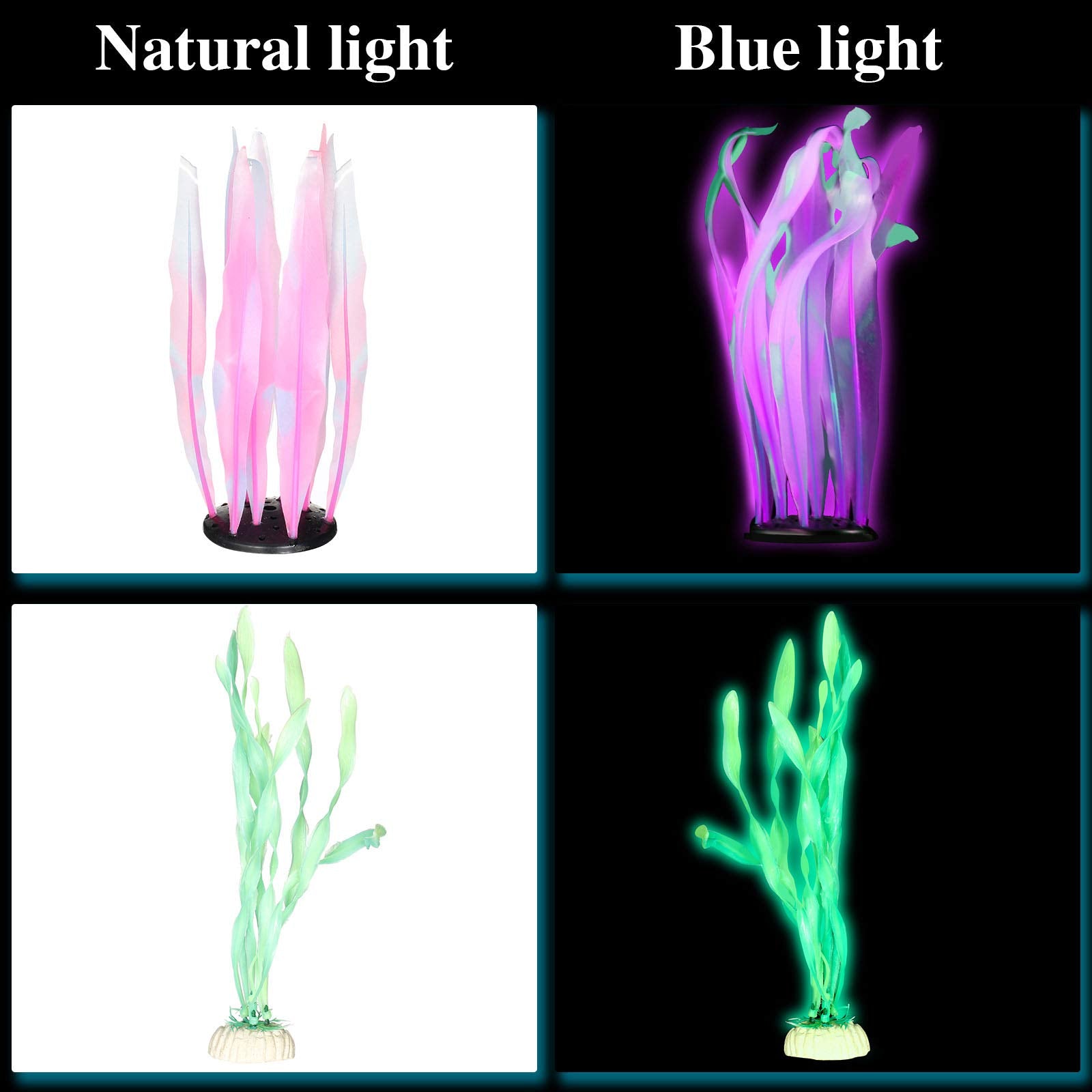 Frienda anémone lumineuse marine verte apporte mouvement et profondeur.