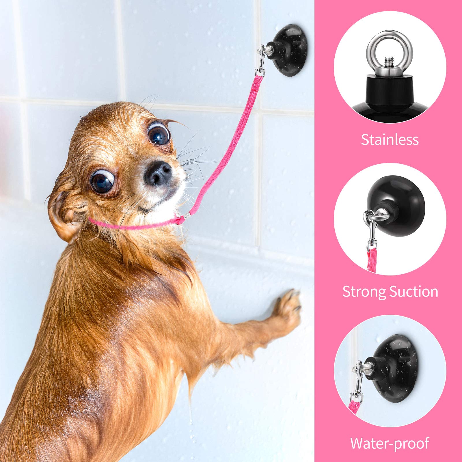Frienda attaches réglables pour petits et moyens chiens et chats