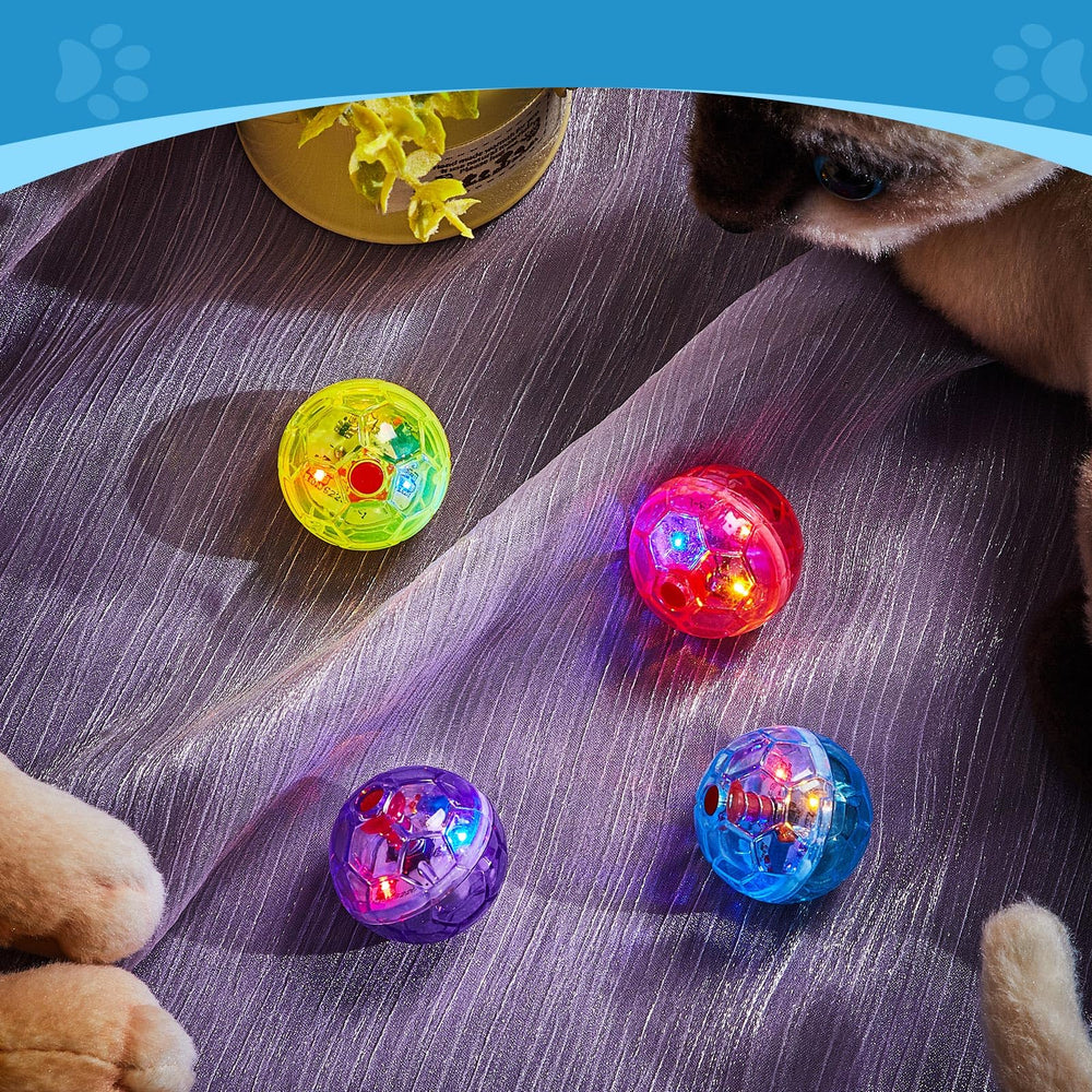 Balle Frienda jeu interactif qui attire l’attention des animaux.