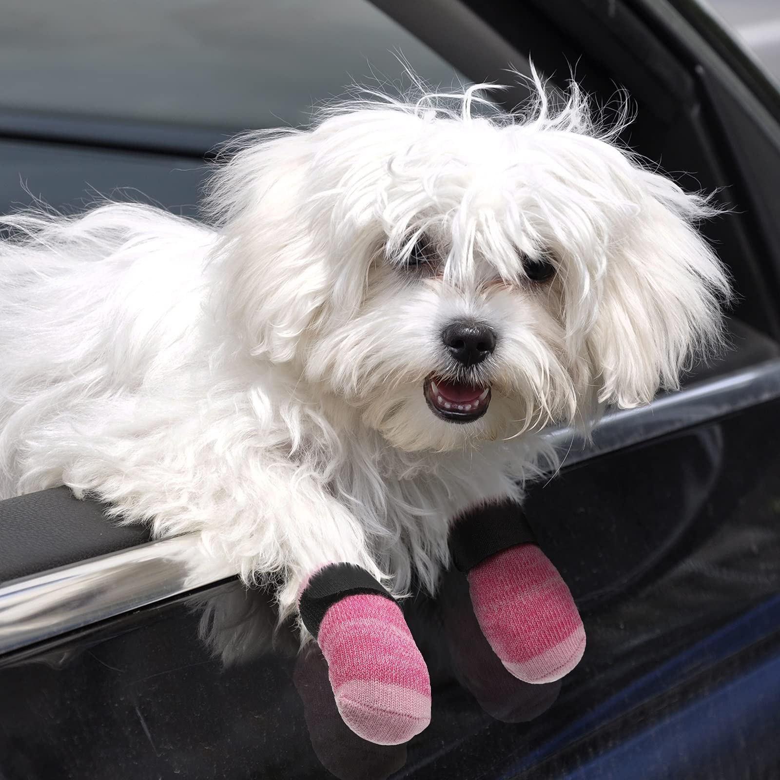 Détail vue latérale des chaussettes Frienda pour chien, patte rose