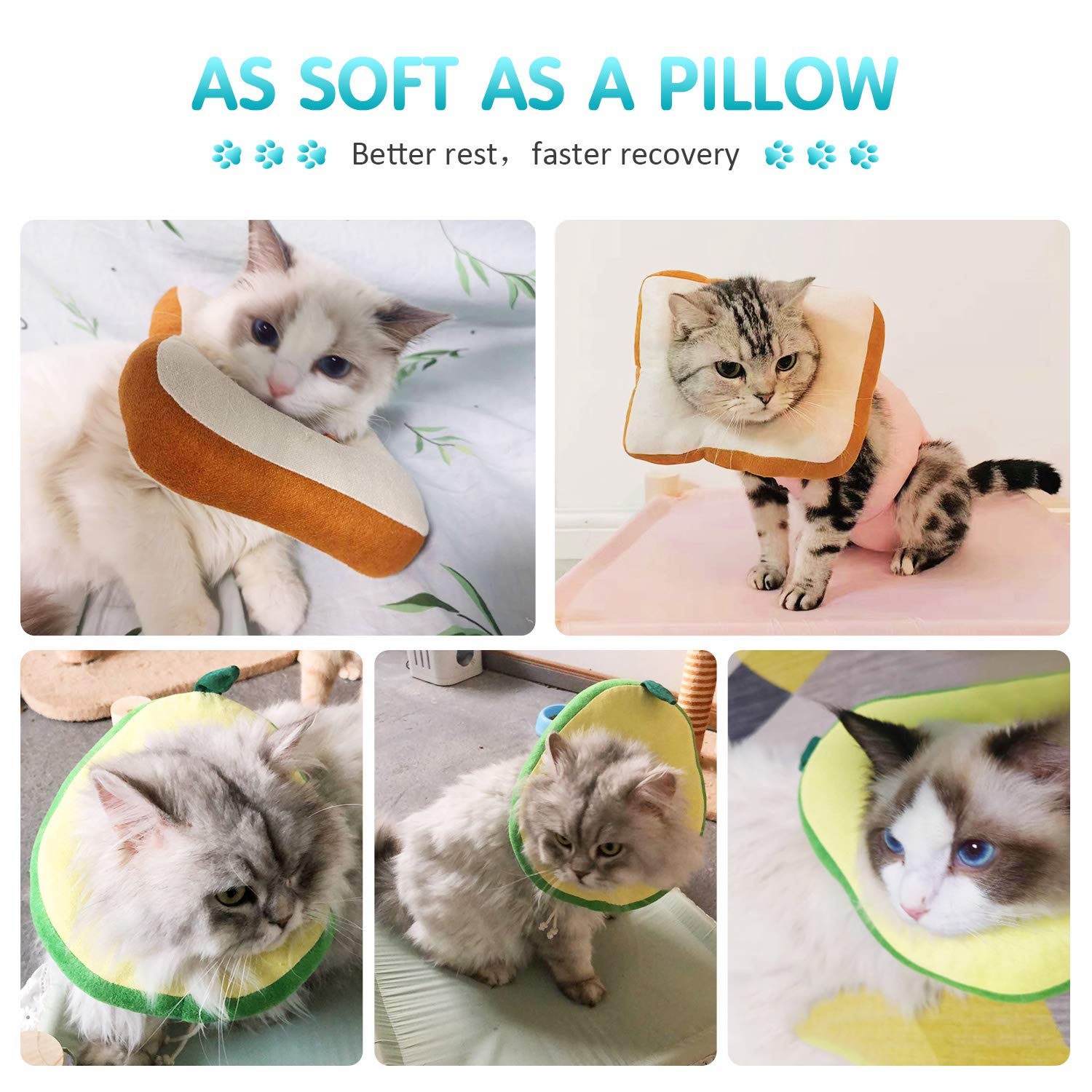 Frienda collier cône chat forme avocat bord, permet au chat de boire et manger normalement