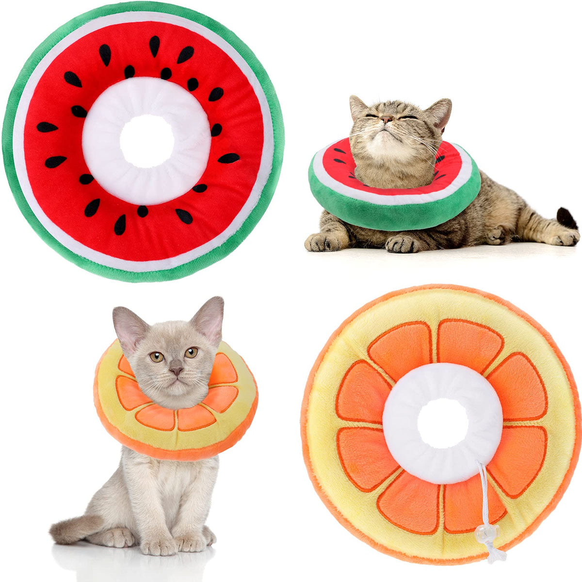 Frienda collier-cone chat orange pour limiter le léchage et favoriser le confort.