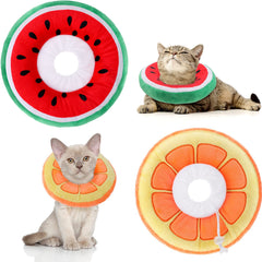 Frienda collier-cone chat orange pour limiter le léchage et favoriser le confort.