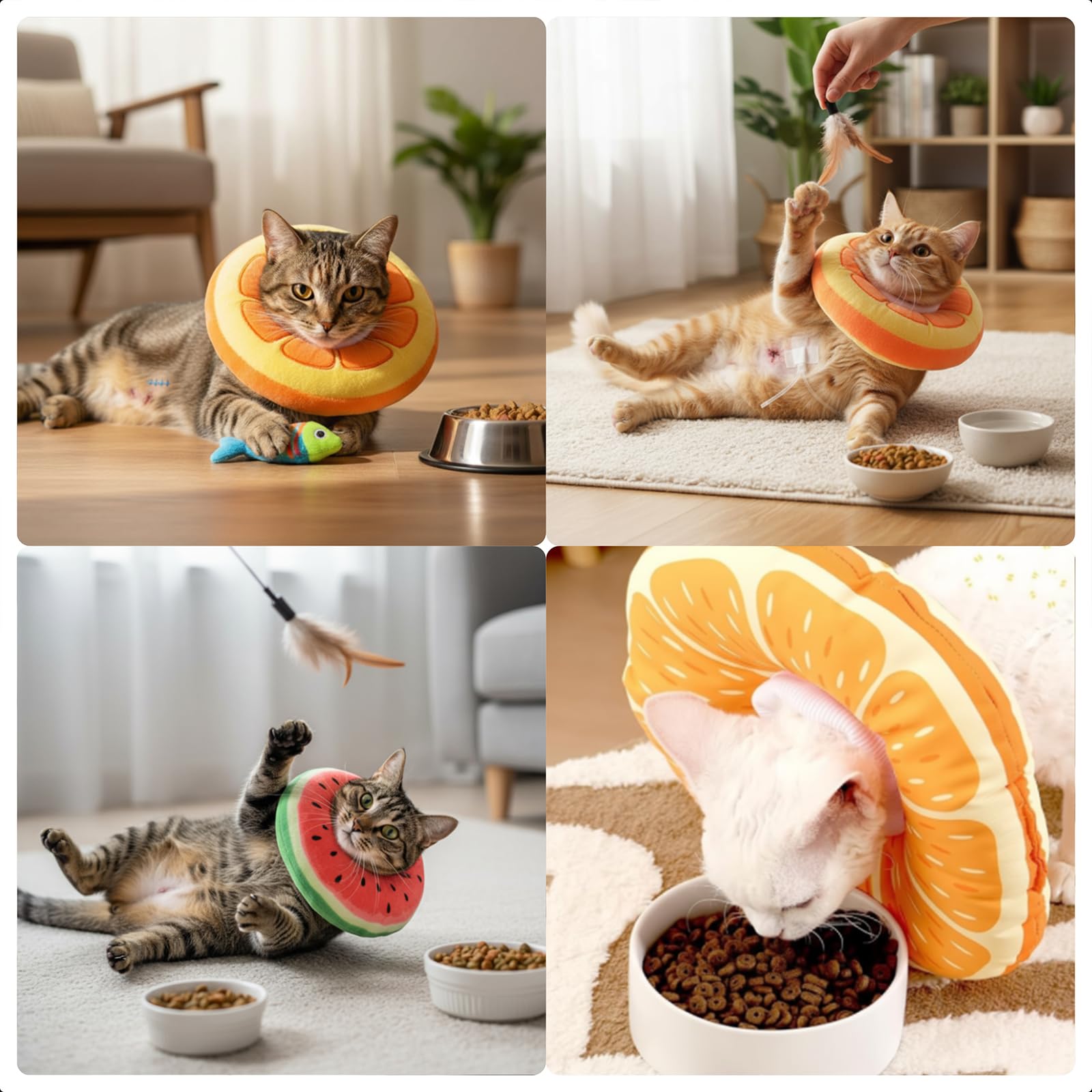 Frienda collier-cone chat petits chiens, idéal pour les chiens et chatons.