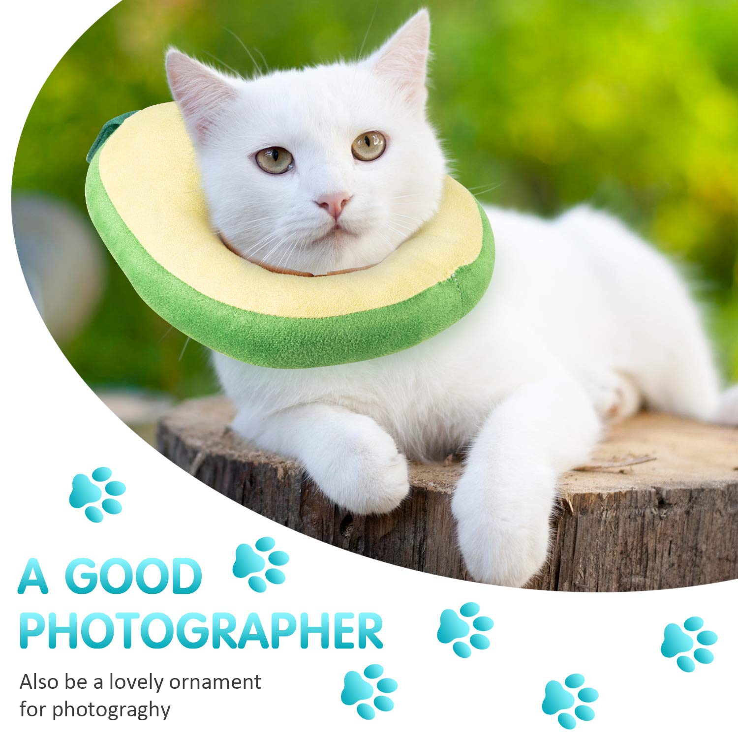 Frienda collier cône chat usage quotidien, protège pendant la récupération