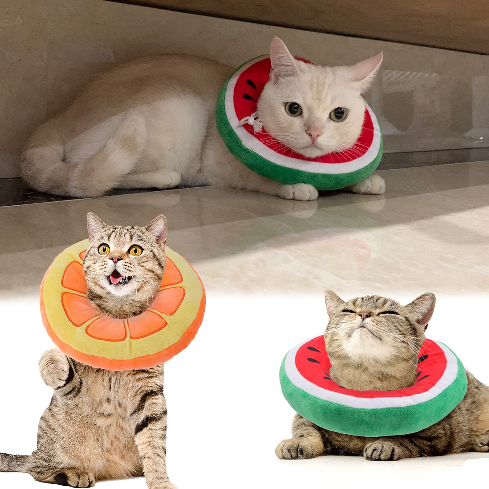 Frienda collier-cone chat 4-8 pouces, taille adaptée pour petits animaux.