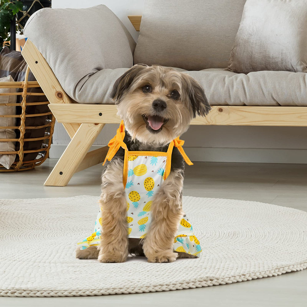 Ensemble Frienda quatre pièces pour chien, polyvalent pour jour et sortie.