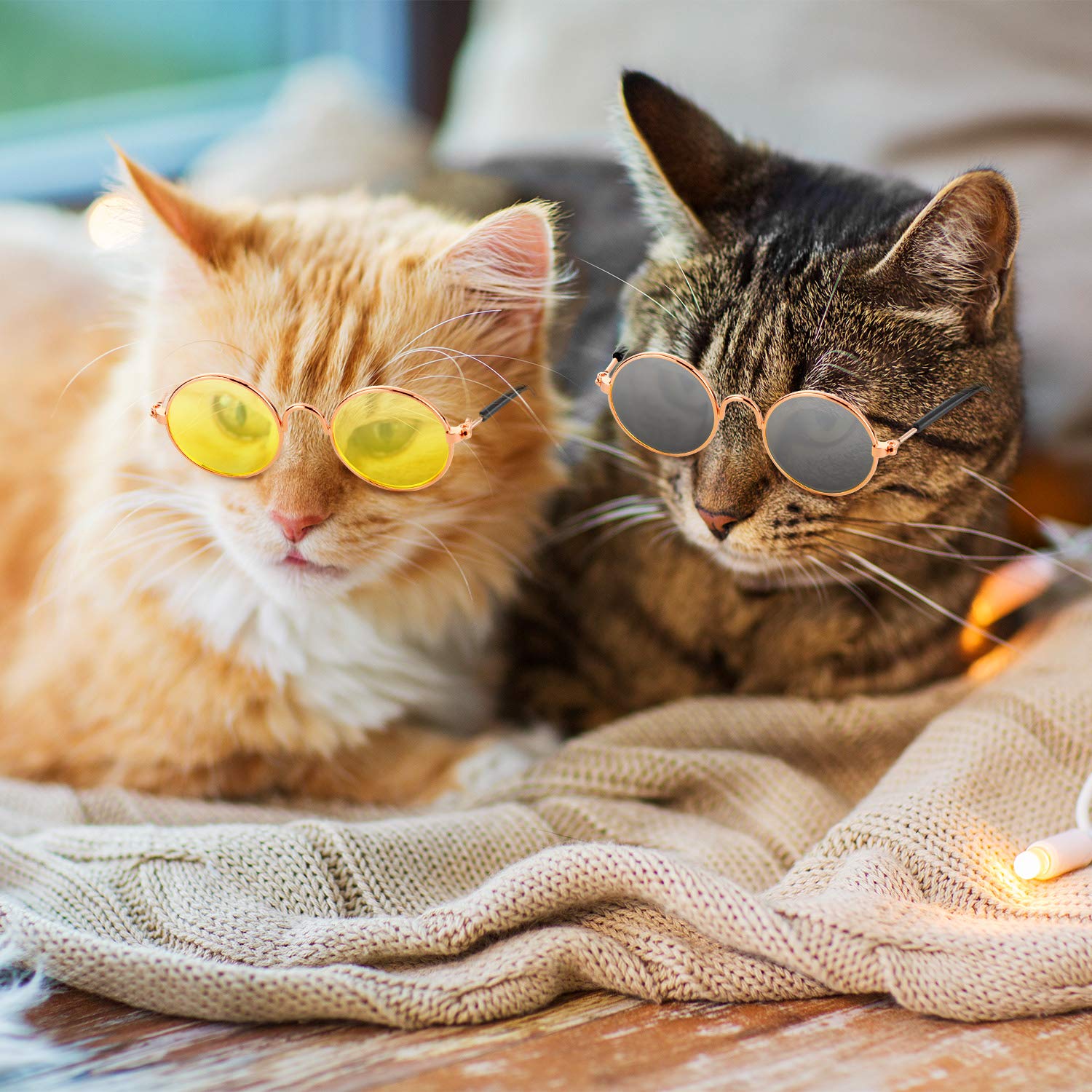 Frienda lunettes chat-chien confortables et adaptées pour petits animaux lors de sorties.
