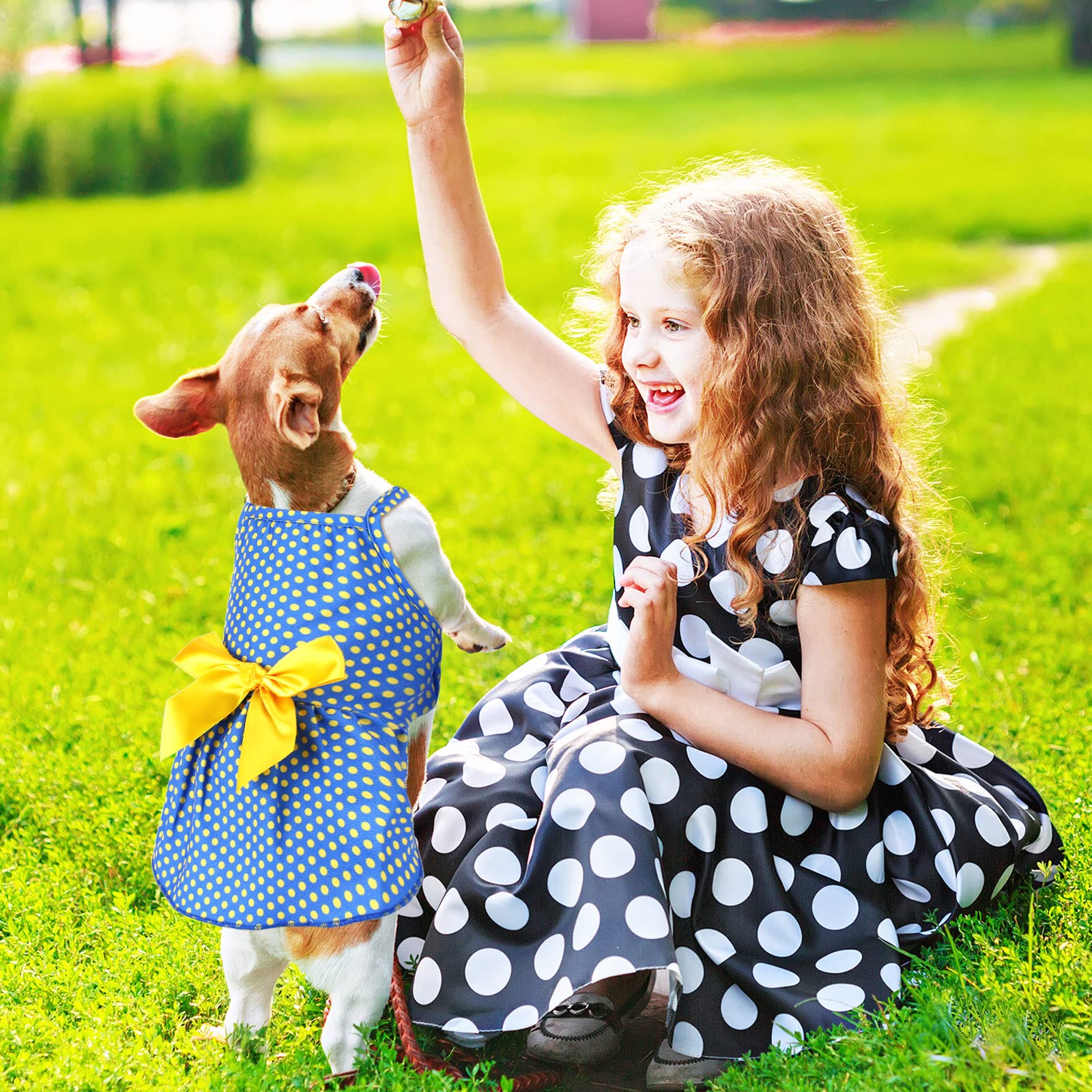 Robe Frienda légère et respirante pour chien, été