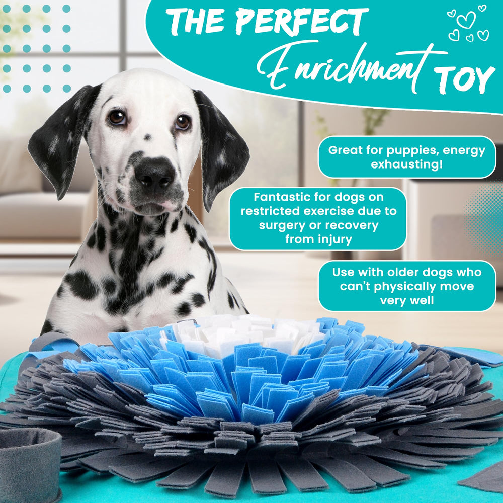 Friendly Barks tapis olfactif: démonstration en action et stimulation du chien.