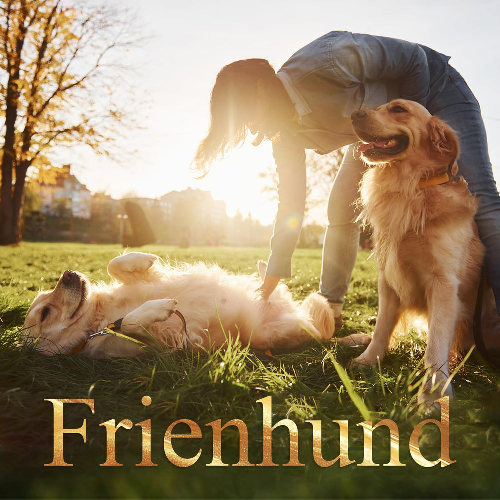 Frienhund arôme bacon premium stimule l'intérêt et l'engagement lors du jeu.
