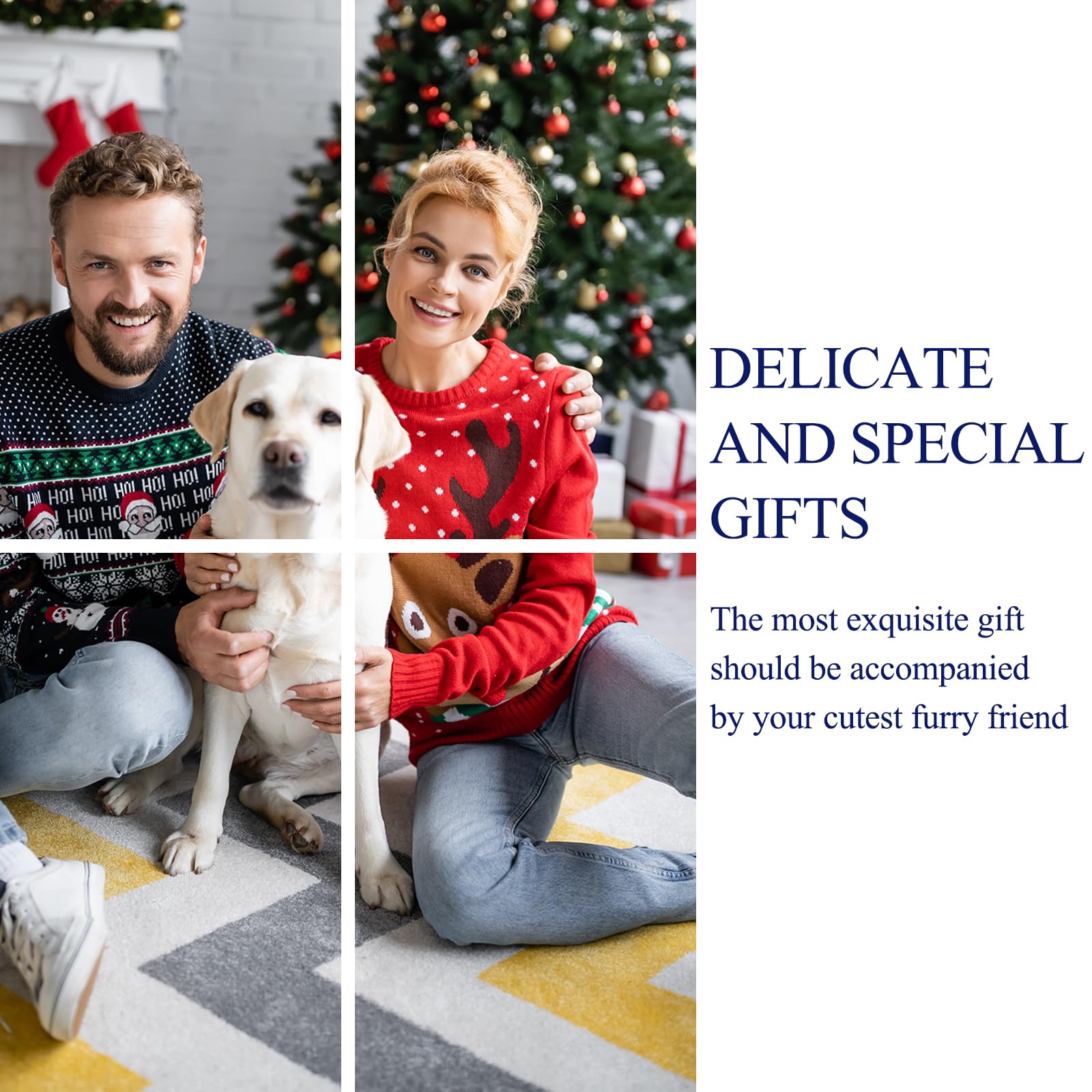 Frienhund cadeau pour chien: idée ludique et durable pour tout au long de l’année.