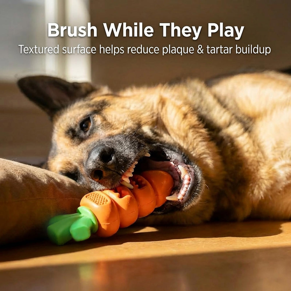 Frienhund conçu pour grands chiens: adapté aux mâchoires puissantes et à la mastication.