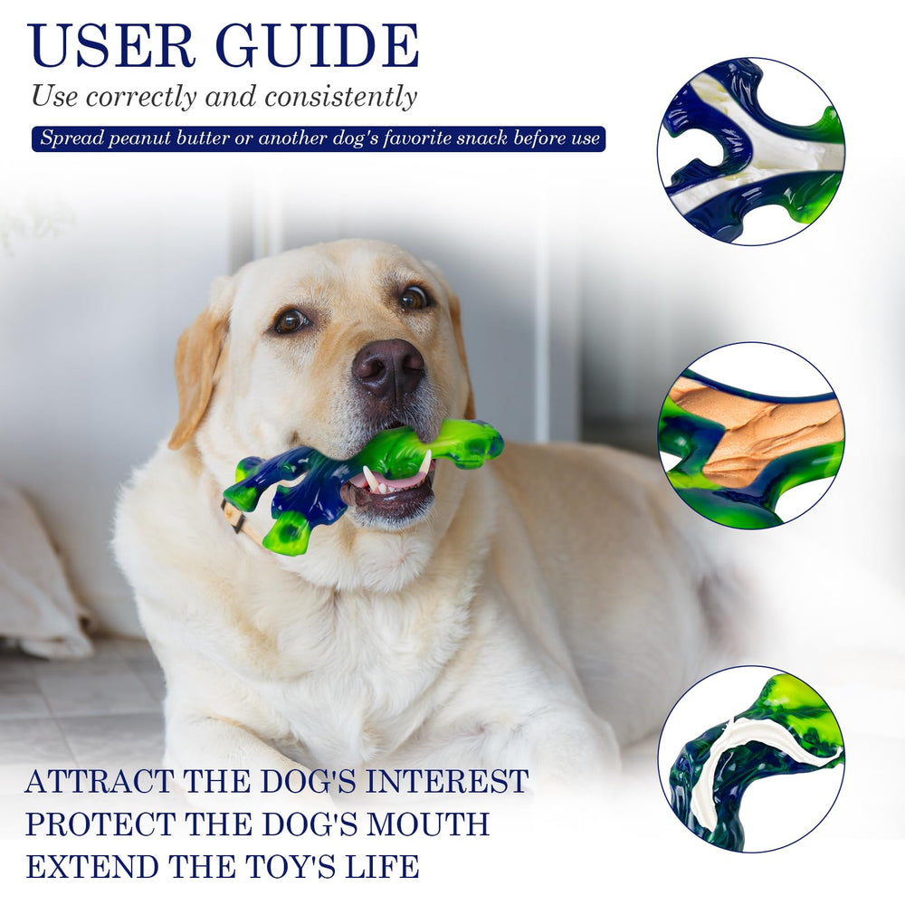 Frienhund enrichissement: activité stimulante pour l’exercice et l’énergie.