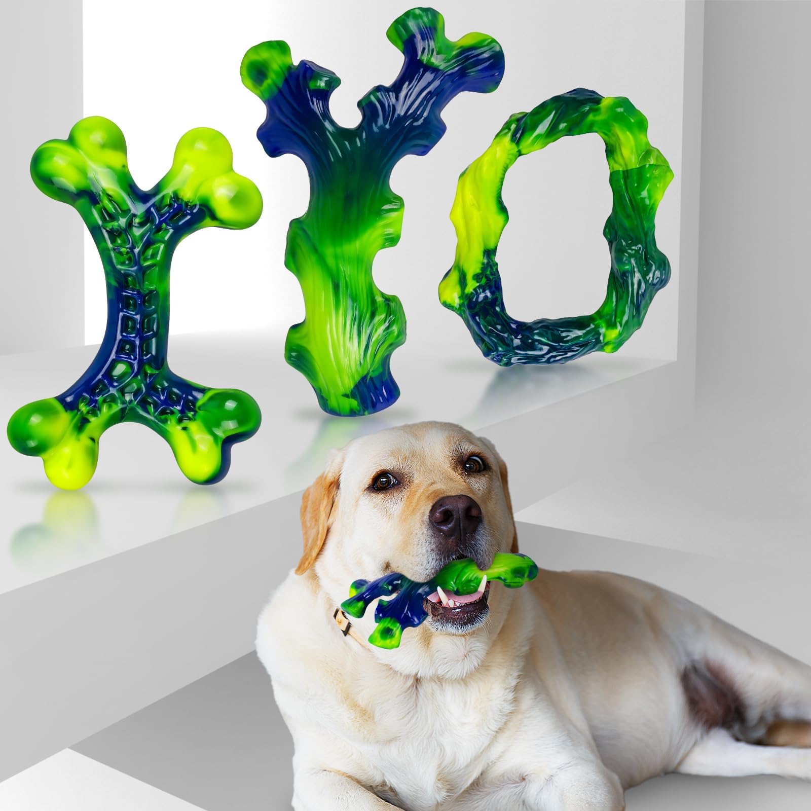 Frienhund guide d’utilisation: sessions de 15 minutes pour sécurité et plaisir.