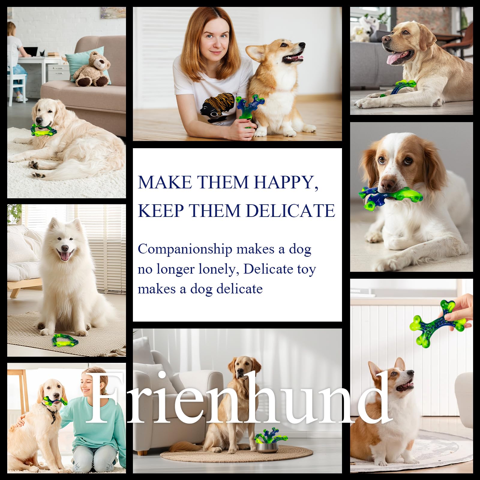 Frienhund texture dentaire: surface stimulante pour gencives et dents.