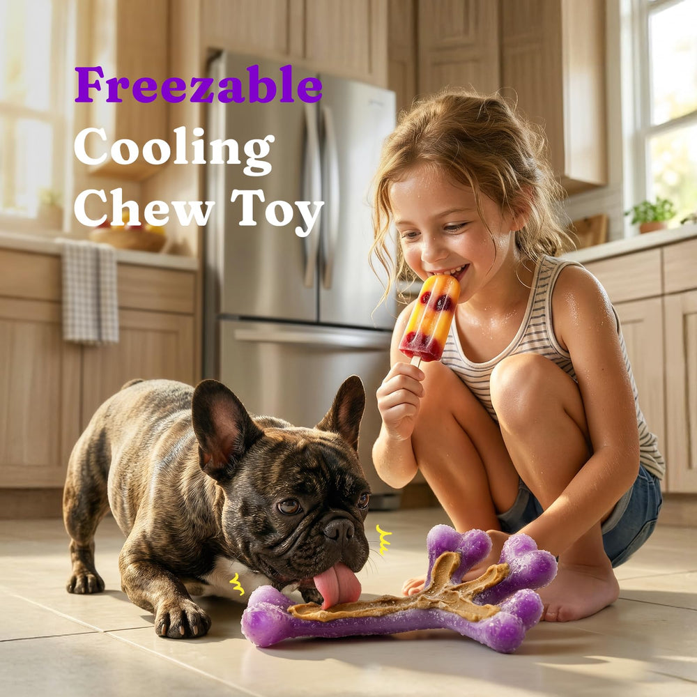 Nettoyage simple: Frienhund compatible lave-vaisselle.