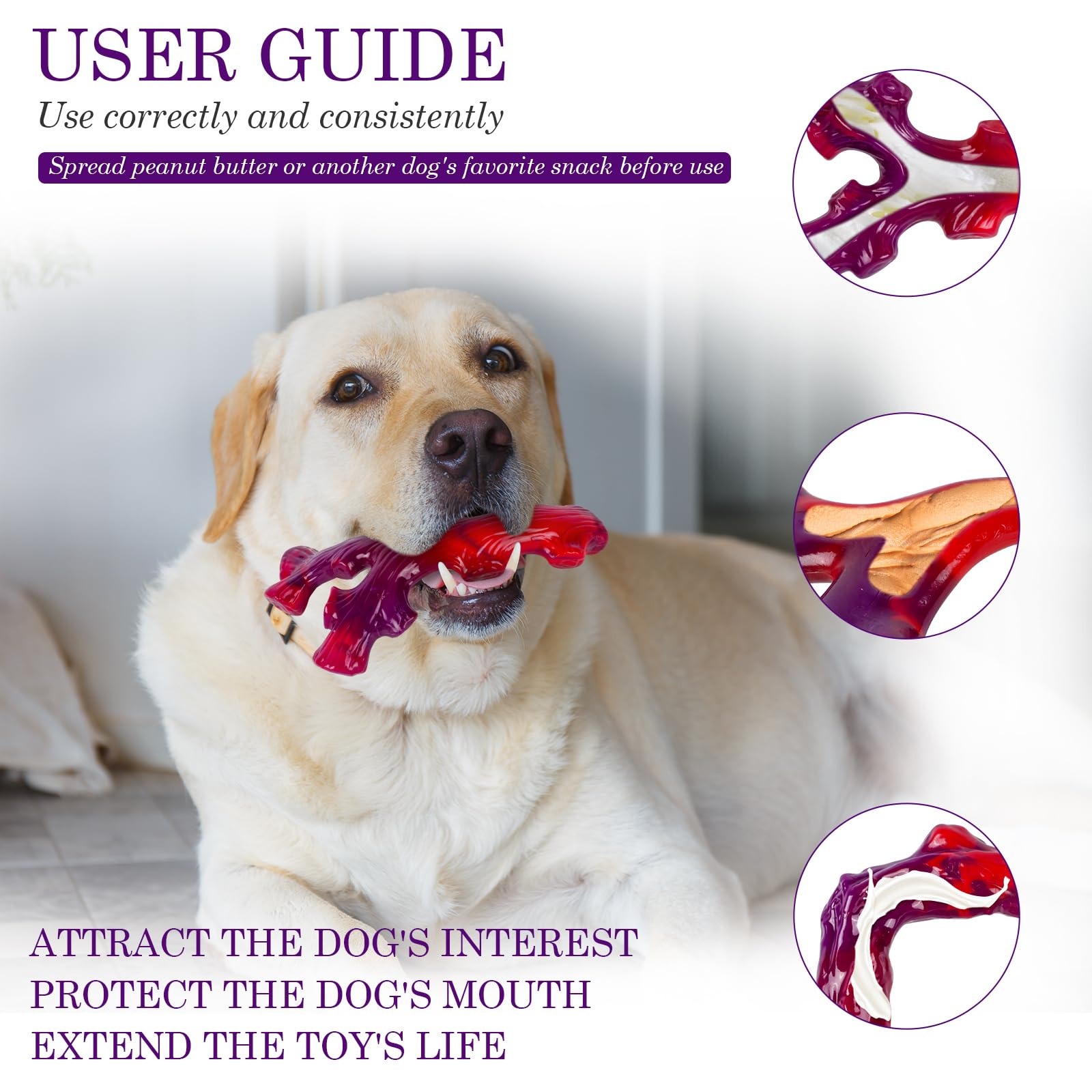 Frienhund os-a-macher-incassable - anti-stress pour canaliser l’énergie.