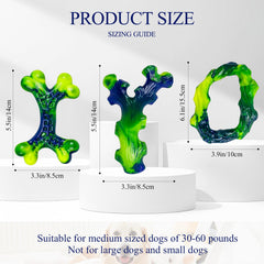 Frienhund os nylon oval indestructible: forme idéale pour sessions prolongées.