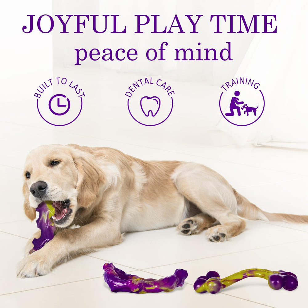Frienhund stimulation cognitive et enrichissement lors du jeu.