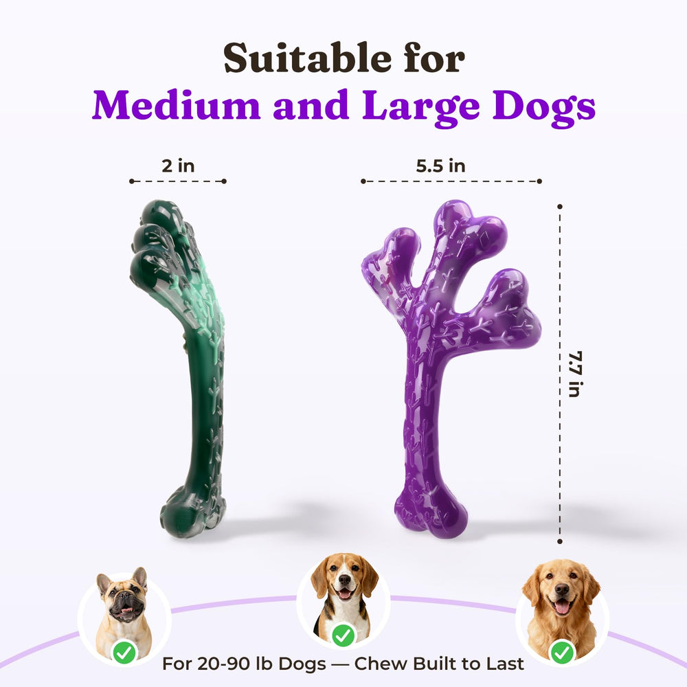 Stimulation mentale et physique avec Frienhund, chien plus heureux.