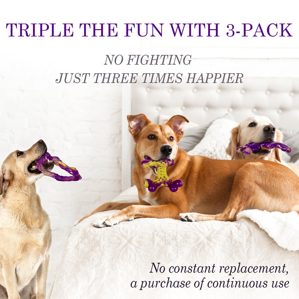 Frienhund trio-jouets durables pour plusieurs chiens et calmement occupés.