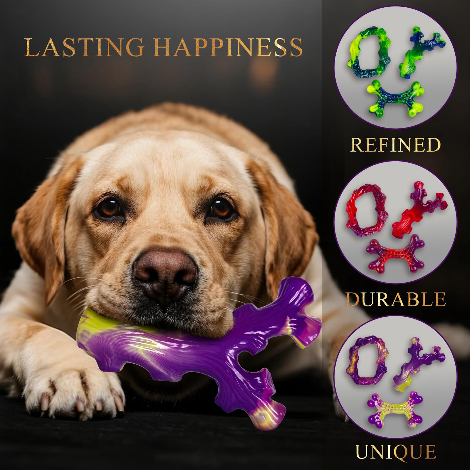Frienhund vision et bien-être: compagnon durable même sans vous.