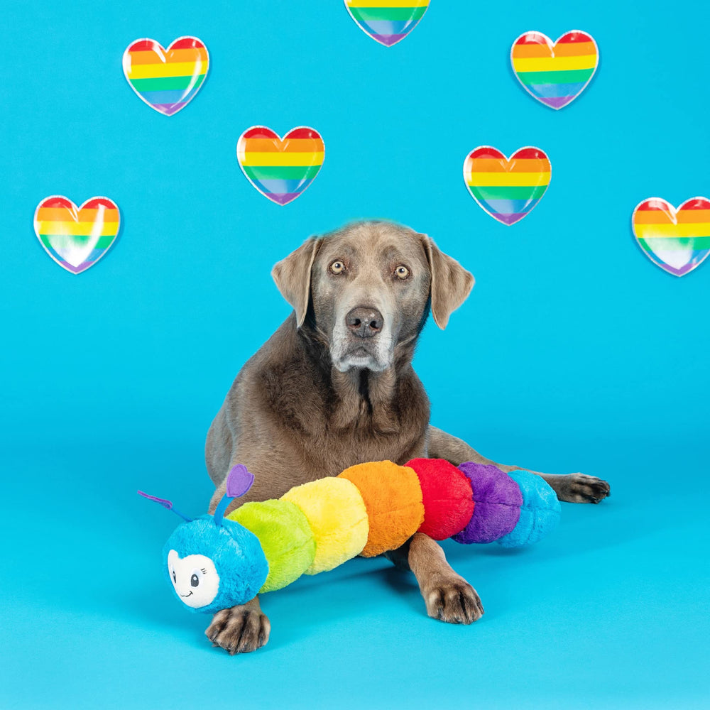 Chien jouant avec Fringe Studio Ne Pas Deranger, jouet peluche grand format pour amusement.