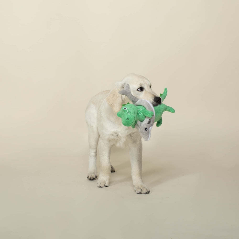 Jouet Fringe Studio pour chien: peluche idéale pour le lancer et ramasser.