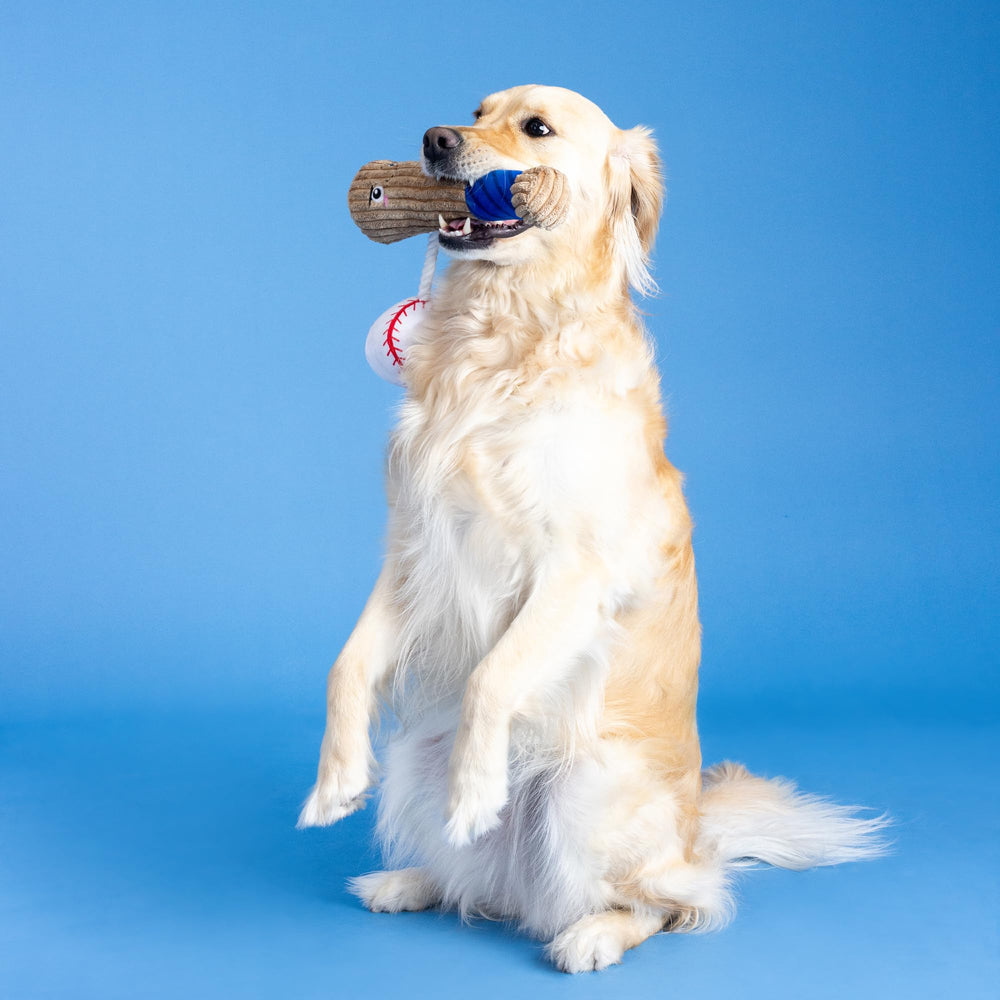 Fringe Studio jouet chien : référence 314243 pour la collection Fringe Boutique Animaux.