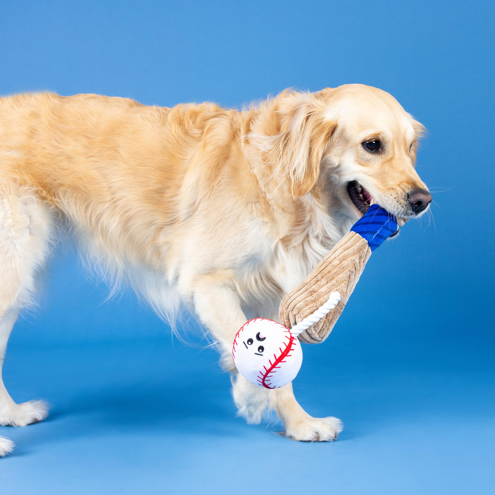 Fringe Studio jouet chien : jeu interactif avec bruit et texture.