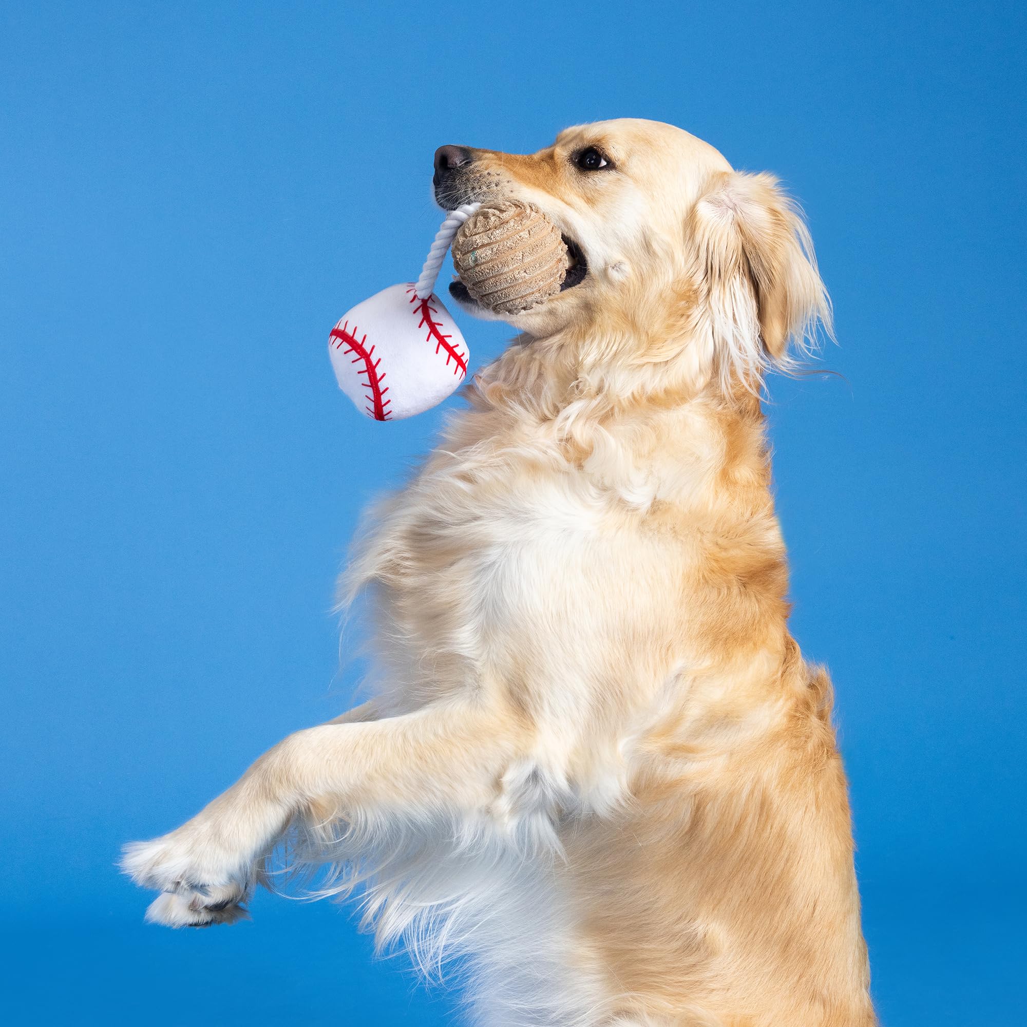 Fringe Studio jouet chien : activité interactive pour tous les chiens.
