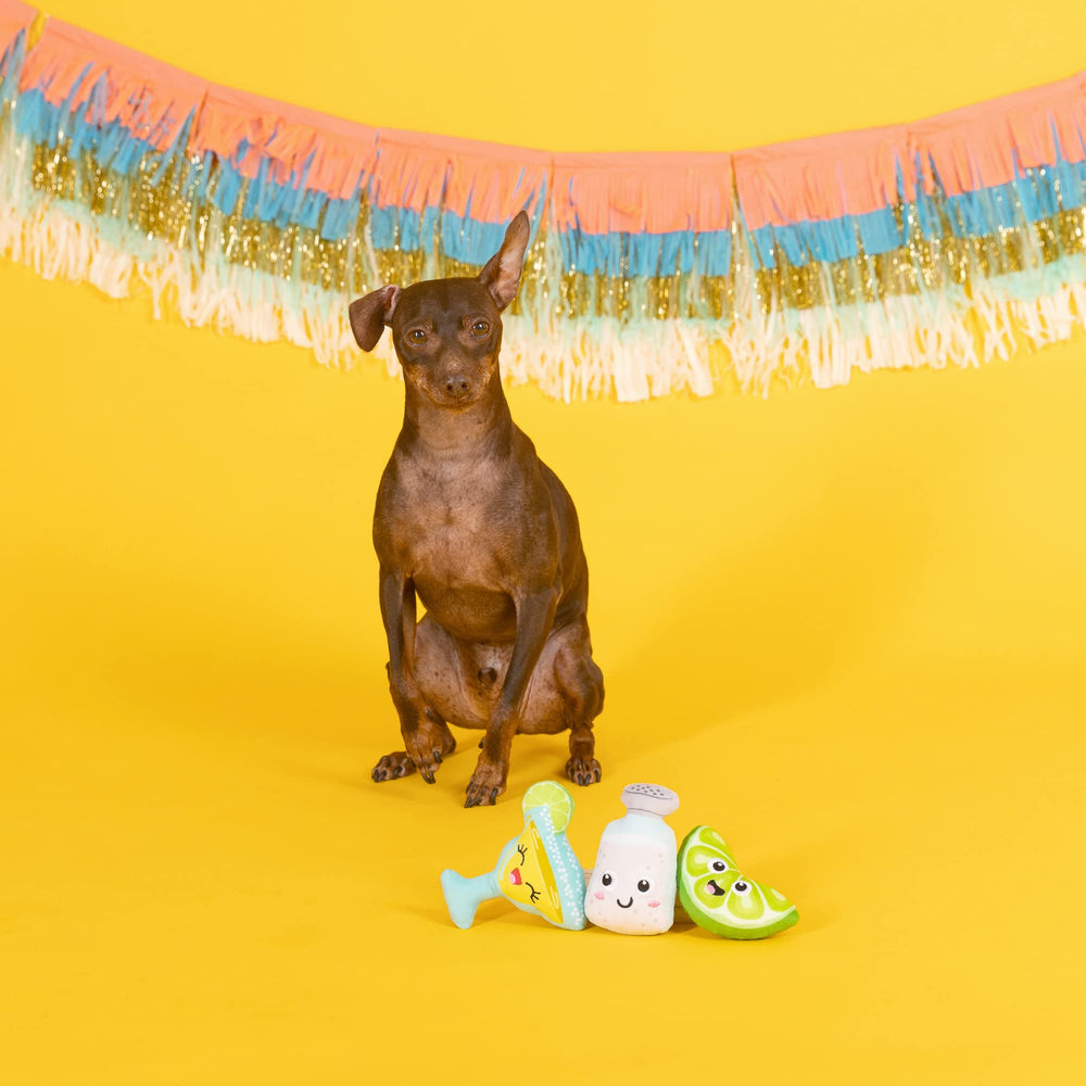 Jouet Fringe Studio petite peluche pour le jeu de rapport, idéal pour sessions courtes et câlin.