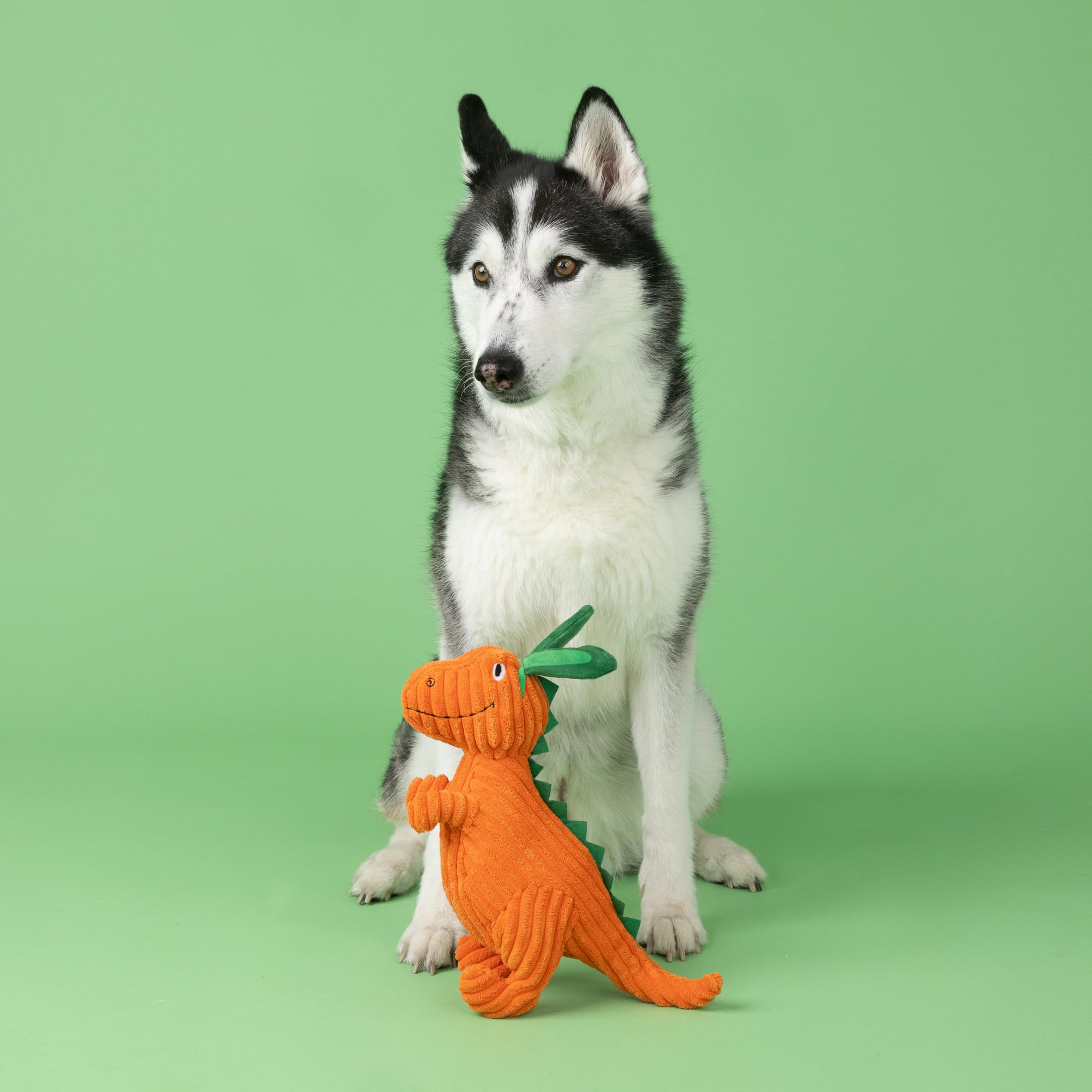 Peluche Fringe Studio Carotte 'Bout You, adaptée à toutes les tailles de chien.