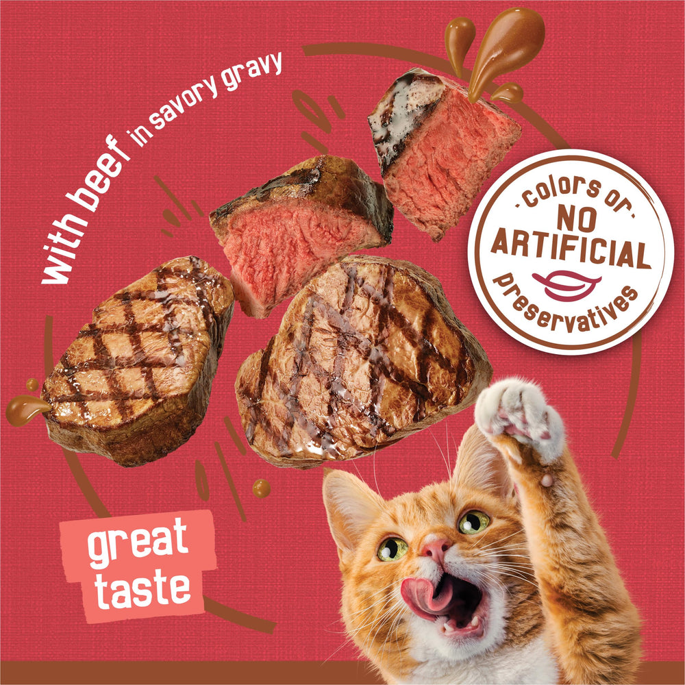 Friskies alimentation humide : nutrition complète pour chats adultes et chatons.