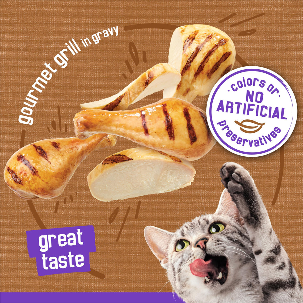 Arôme appétissant Friskies attirant le chat vers le bol.