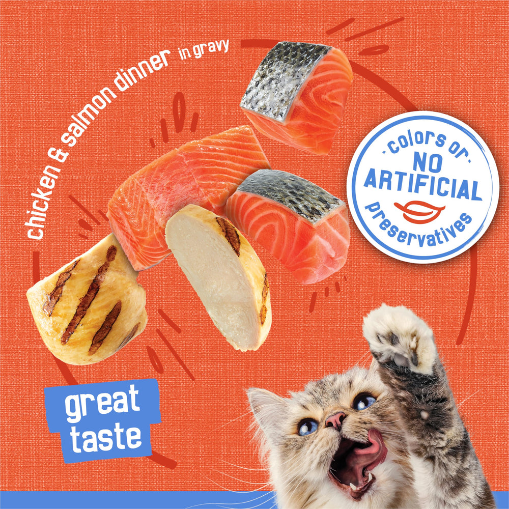 Friskies Shreds: boîtes recyclables pour une option durable.