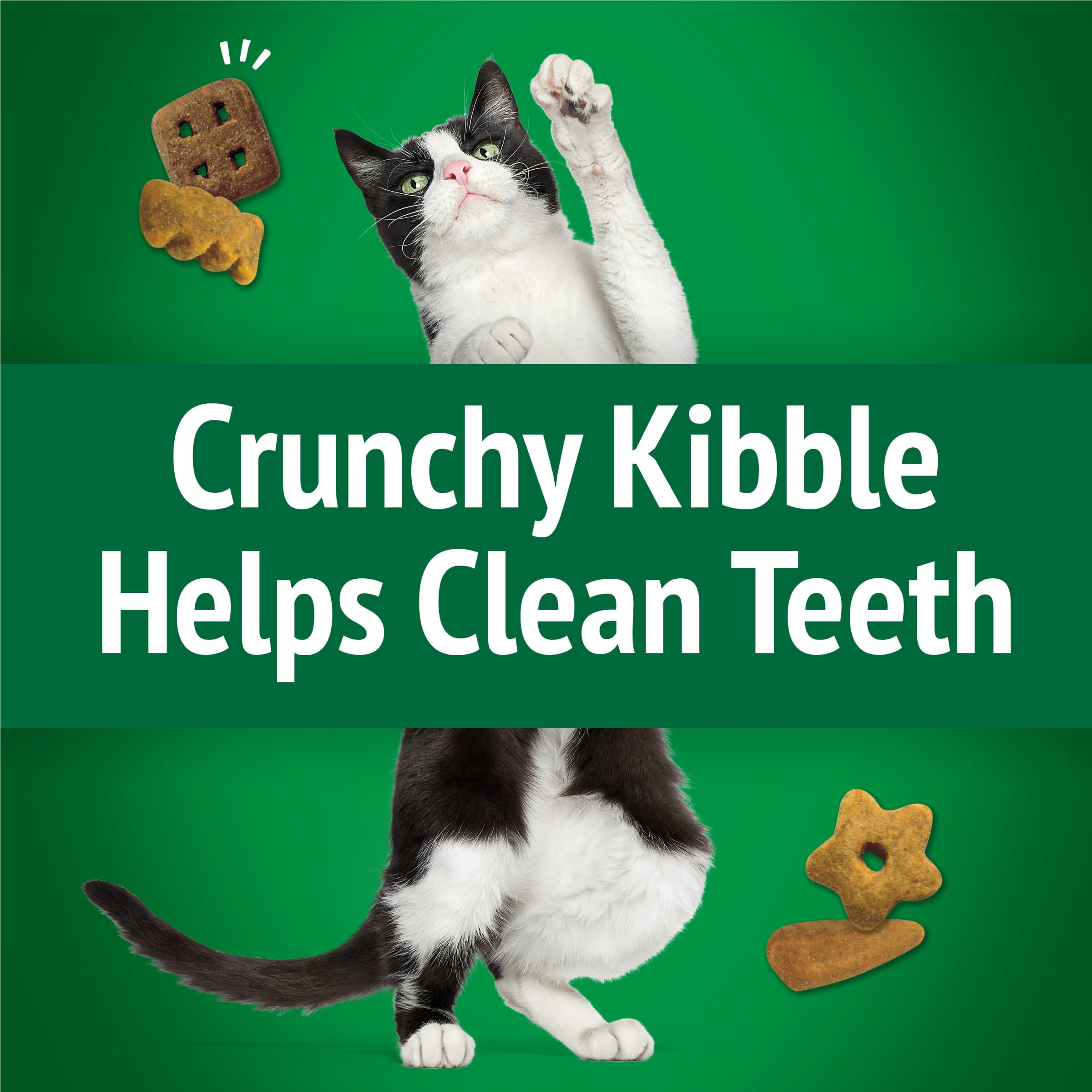 Purina Friskies Party Mix Picnic Crunch sachet refermable préservant la fraîcheur.