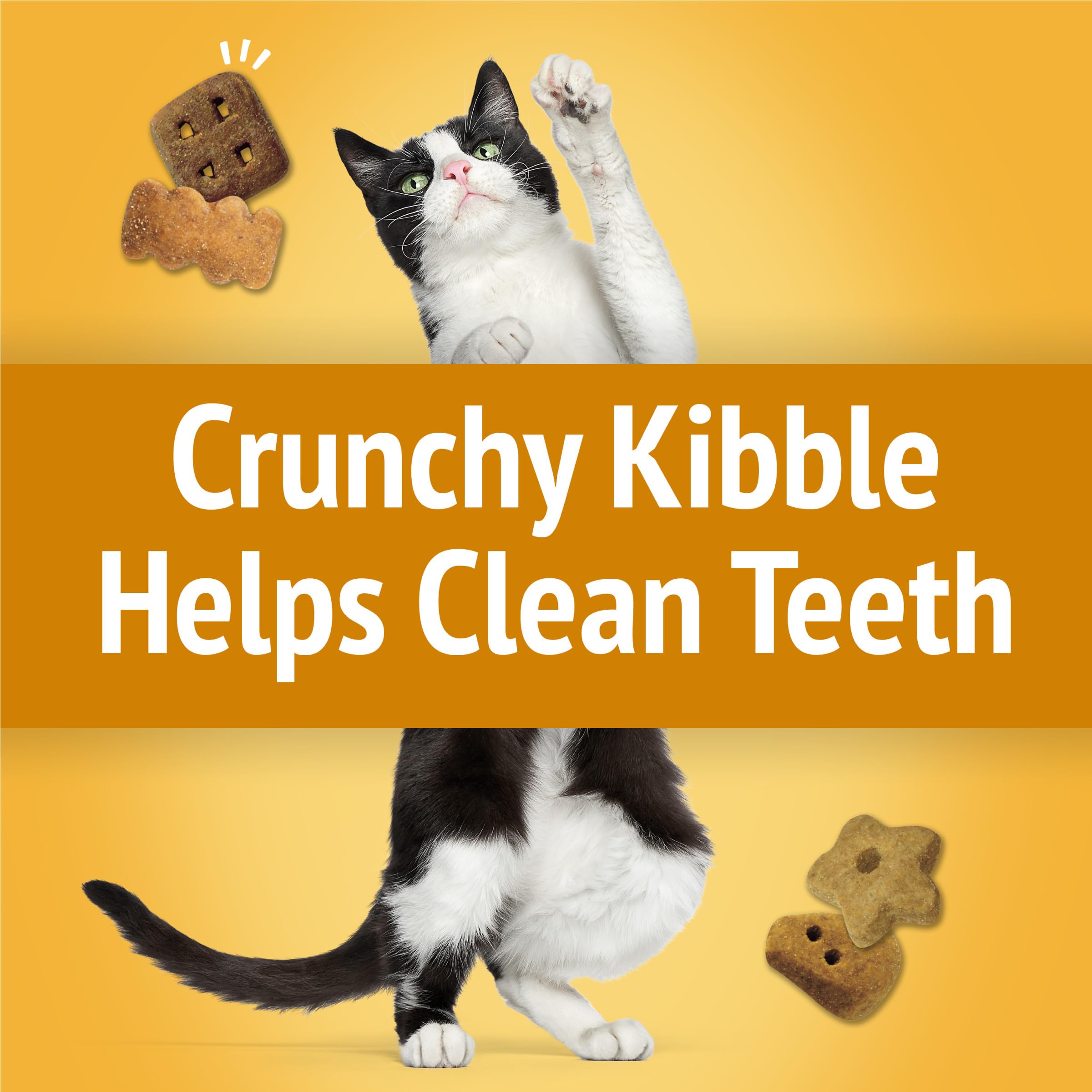 Friskies Party Mix formes variées pour stimulation du jeu