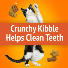 Friandises Friskies, texture croquante qui plaît à votre chat.