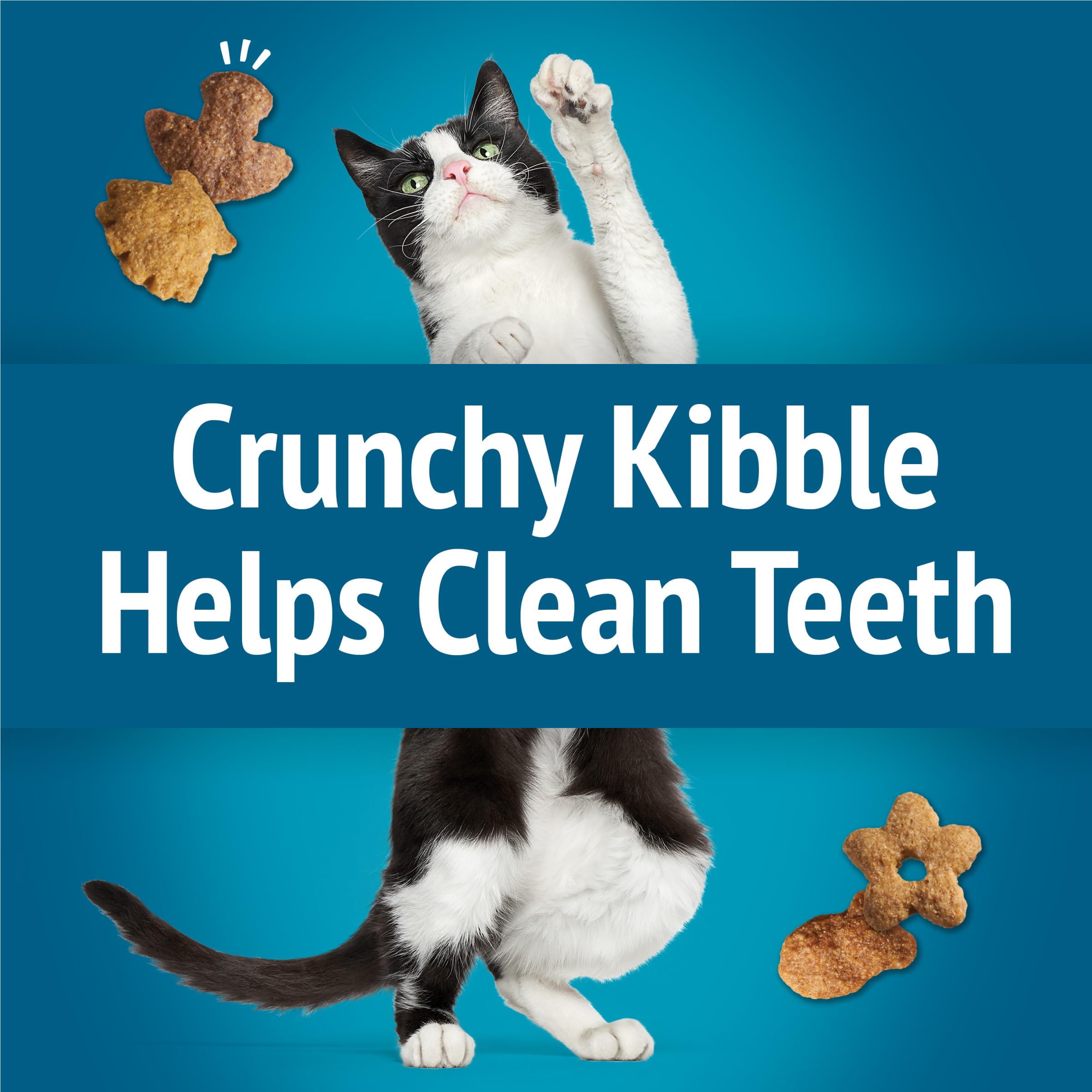 Friandises Friskies chat texture croquante, plaisir durable en bouche.